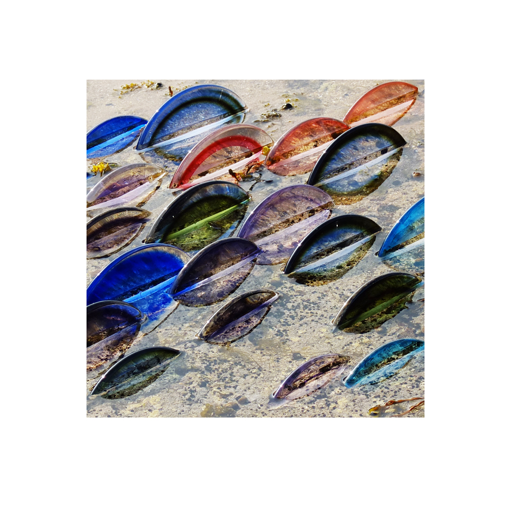 Glass Installation - Paul Musgrove